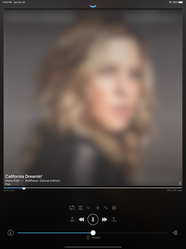 play:Sub Music Streamer iOS苹果手机软件下载